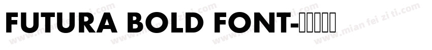 FUTURA BOLD FONT字体转换